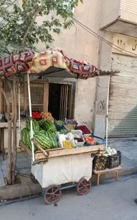 گاری میوه  سفارشی ساخته شده درجه یک فنردار