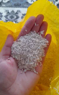 نیم دانه
