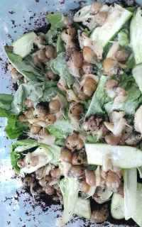 حلزون فروشی