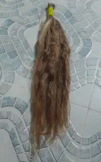 کوتاهی مو