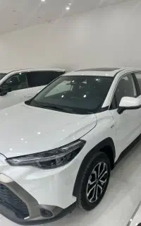 فرانتلندر 2025