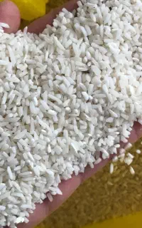 تمیز و پاک کردن برنج موریانه زده