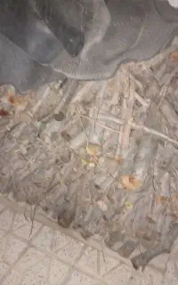 هیزم،،بریده شده آماده برای سوختن و ذغال