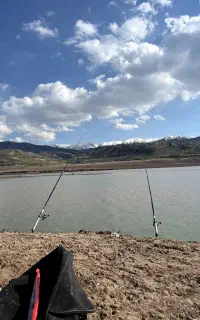 لنسر ماهیگیری چوب و چرخ قلاب ماهیگیری شیمانو