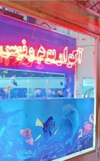 *فروش اکواریوم های شرکتی.وماهی آروانا