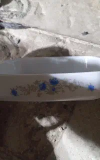 دیس مرغ‌خوری آکروپال  اصل فرانسه