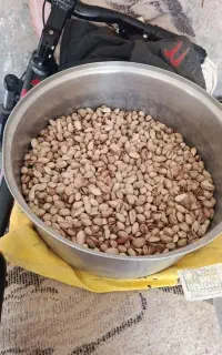 پسته خندان و درجه یک