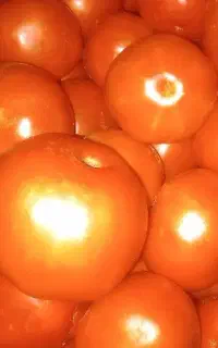 گوجه محلی