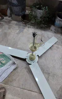 پنکه