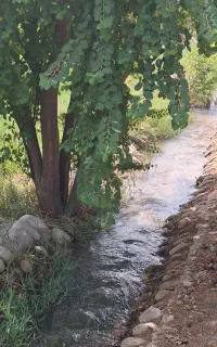 یک روز خاطره‌انگیز درباغ ونخلستان، فضای خانوادگی