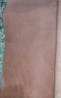 موکت در حد نو دو عدد