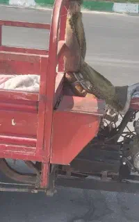 موتور سه چرخ فروشی تازه تعمیر