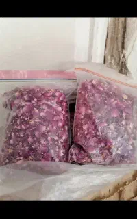 گل محمدی تازه