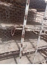 قفس مرغ فروشی
