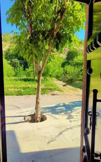 اجاره سوئیت وسکو باغ هخامنش