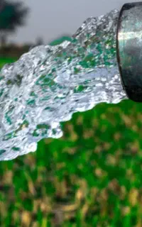 رگه یابی آب