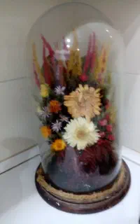 باکس گل