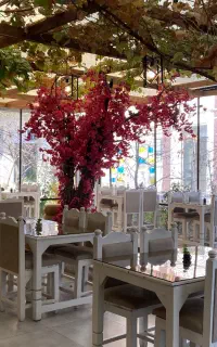 استخدام نیروی کار جهت همکاری در کافه