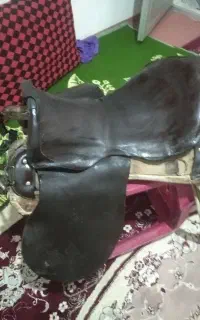 زین اسب