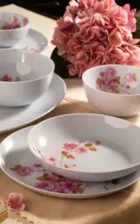 با کمترین هزینه صاحب لوازم خانگی شوید