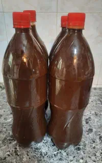 رب آلو جنگلی