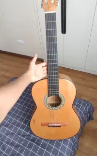 گیتار Royal 110