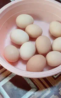 تخم مرغ محلی دونه ای ۲۰ تومن
