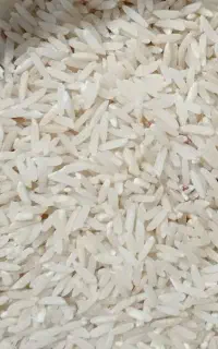برنج