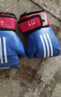 دستکش بوکس