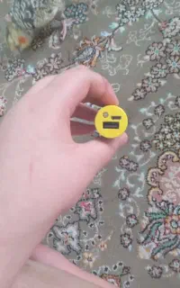 چراغ قوه که پاور بانک می شه فقط ۶۵۰ هزار تومان