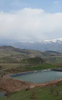 ورقهای استخری