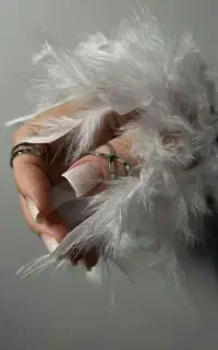 تخفیف خدمات ناخن شهرضا