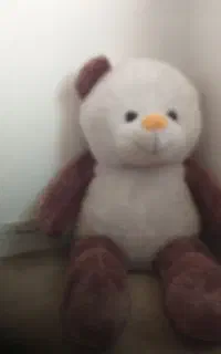 خرس بزرگ