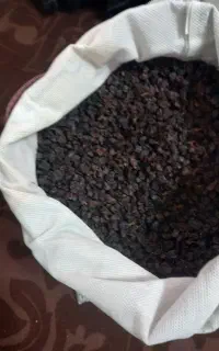کشمش