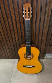 گیتار یونیک c50
