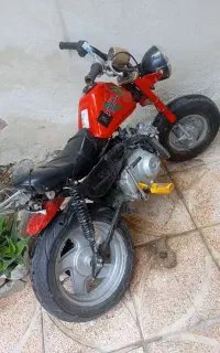 مینی جترو
