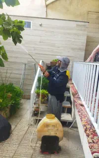 سمپاشی انواع درختان میوه ومنازل