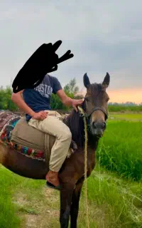 مادی یان