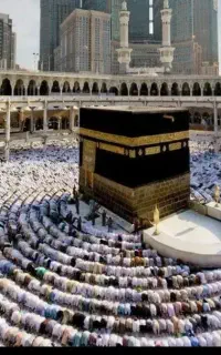 فیش حج واجب