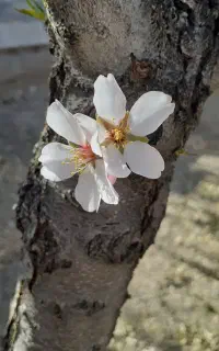 لطفا ثبت نام کن من یه پولی بدست بیارم