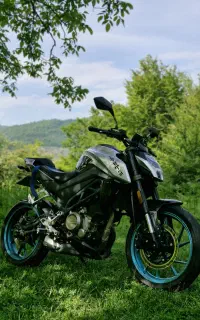 cf 250 nk