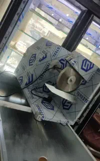 نیرو برای خورد کردن مرغ با مزایا