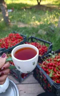 دوینه