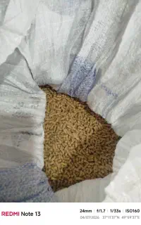 دانه پارس گوشتی بدون آمپول