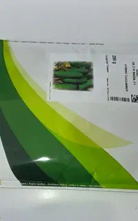 بذرخیار
