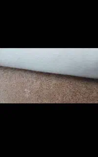 پالاز موکت خیلی نو