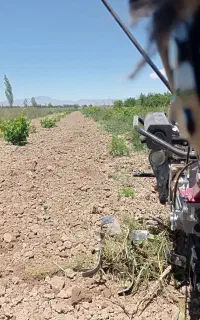 شخم باغ و باغچه روتیواتور کولتیواتور