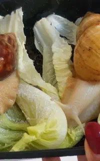 فروش حلزون آچاتینا آلبینو(جوجه،مولد،سوپرمولد)