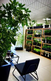 جذب ۳ کارشناس فروش در دپارتمان ماهور