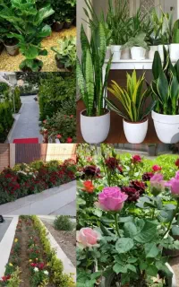 خدمات باغبان و باغبانی سرویس به تمام نقاط